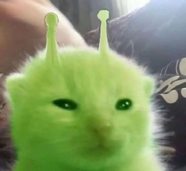 M_i_k_e_l